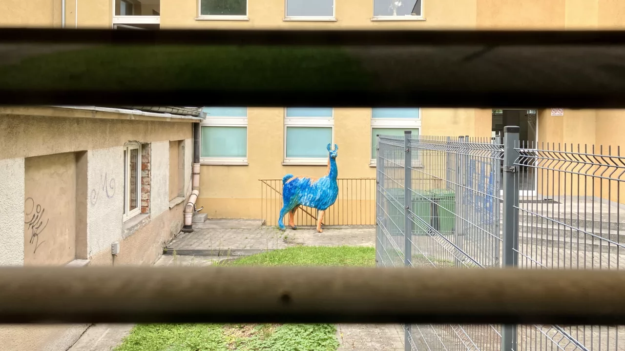 lama2